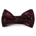 Schwarzes und rotes Paisley-Fliege