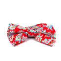 Rote Paisley Fliege