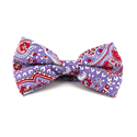 Violetter Paisley Fliege