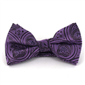 Violett und Schwarzes Paisley Fliege
