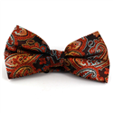 XL Paisley Fliege Orange