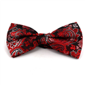 XL Paisley Fliege Rot