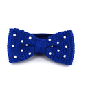 Blauer Punkt-Fliege mit weißen Polka Dots