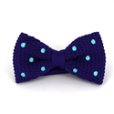Fliege lila Punkt Türkis Polka Dot