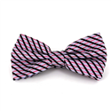 Glanzende gestreifte Fliege in Fuchsia und Lila